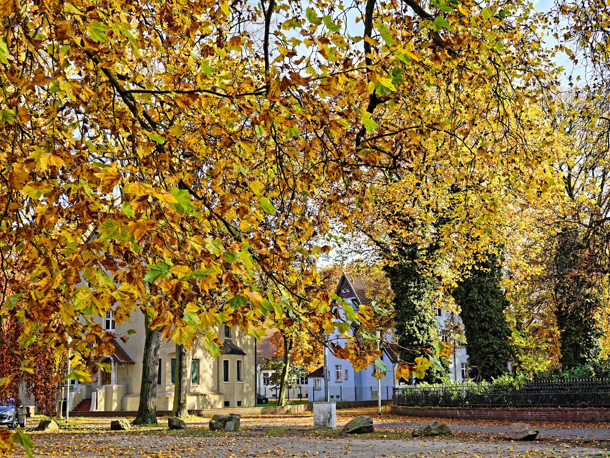 Der Herbst ist der Frühling des Winters